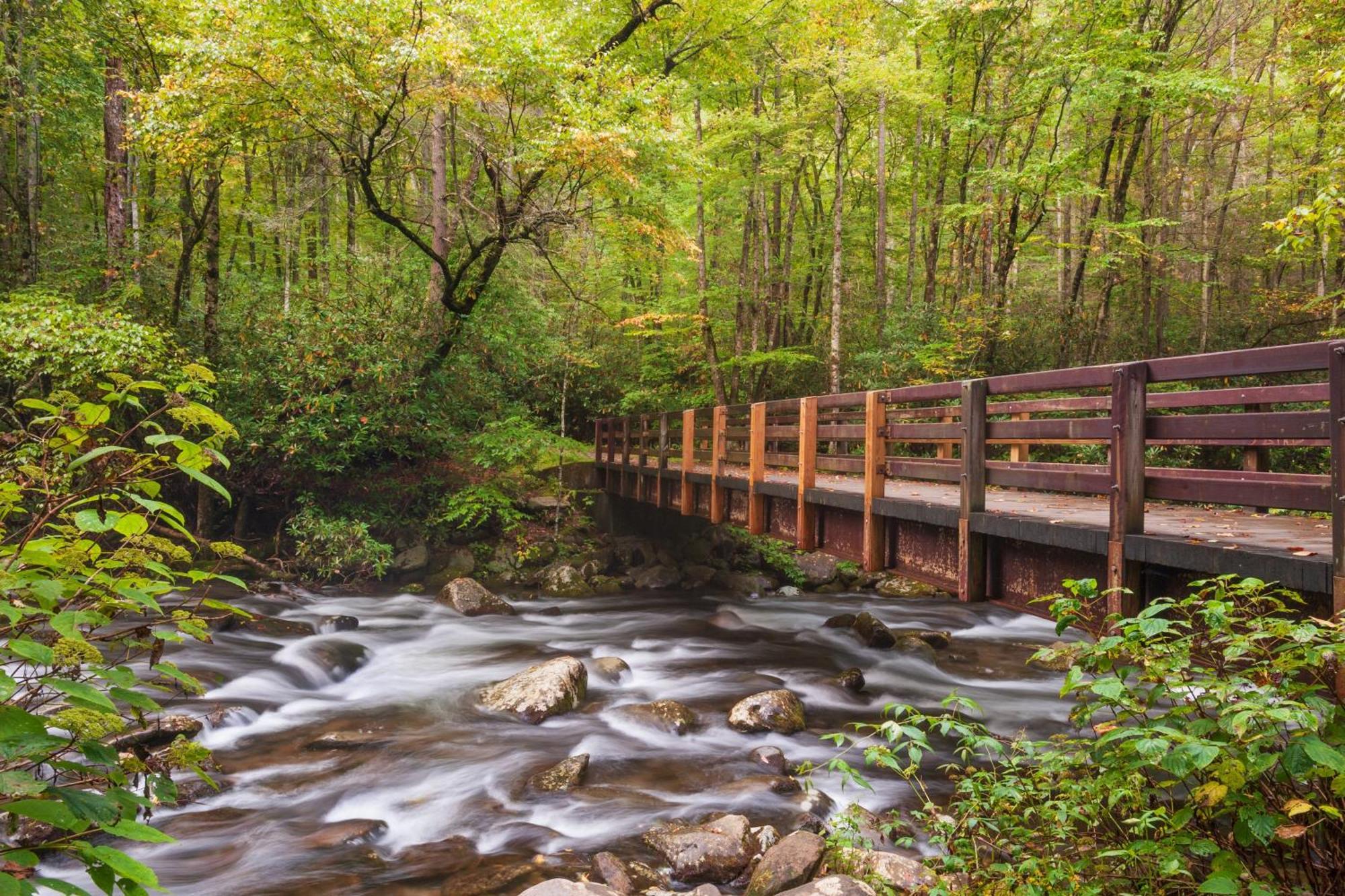 Serenity Heights, Amazing Views, Hot Tub Pool Access, 1089 Free Tickets Each Paid Day, Dollywood Gatlinburg Ngoại thất bức ảnh